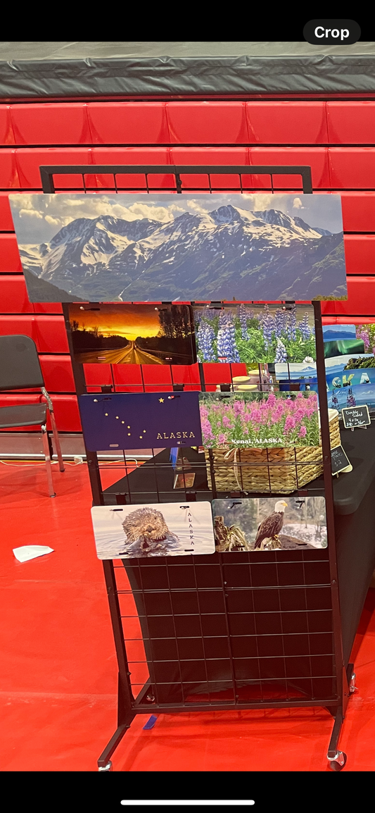 WHOLESALE 10x30 Alaska Metal Photo